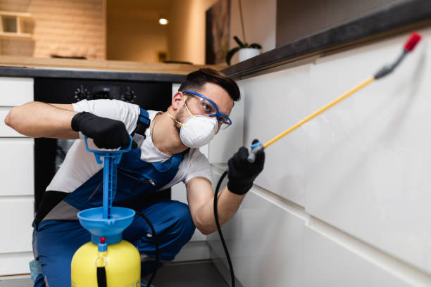 Best Flea Control Services  in Calhoun Falls, SC