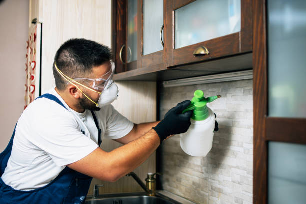 Best Pest Prevention Services  in Calhoun Falls, SC