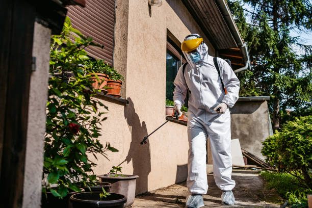 Best Pest Removal Services  in Calhoun Falls, SC