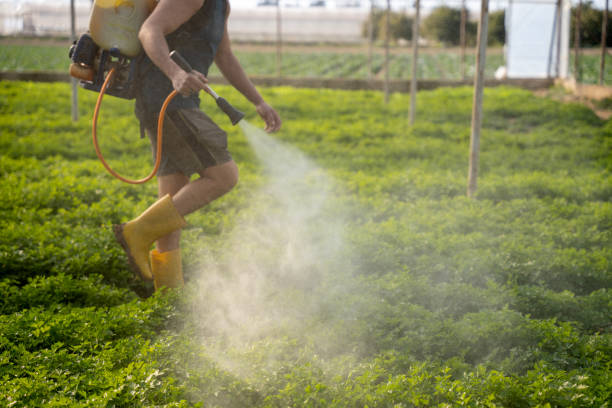 Best Pest Control for Businesses  in Calhoun Falls, SC