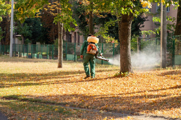 Best Rat Extermination Near Me  in Calhoun Falls, SC