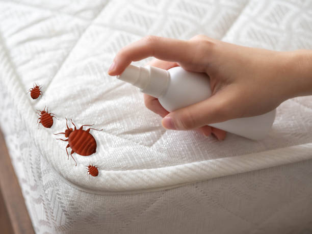 Calhoun Falls, SC Pest Control Company