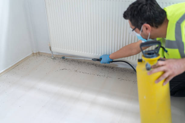 Best Commercial Pest Control Services  in Calhoun Falls, SC